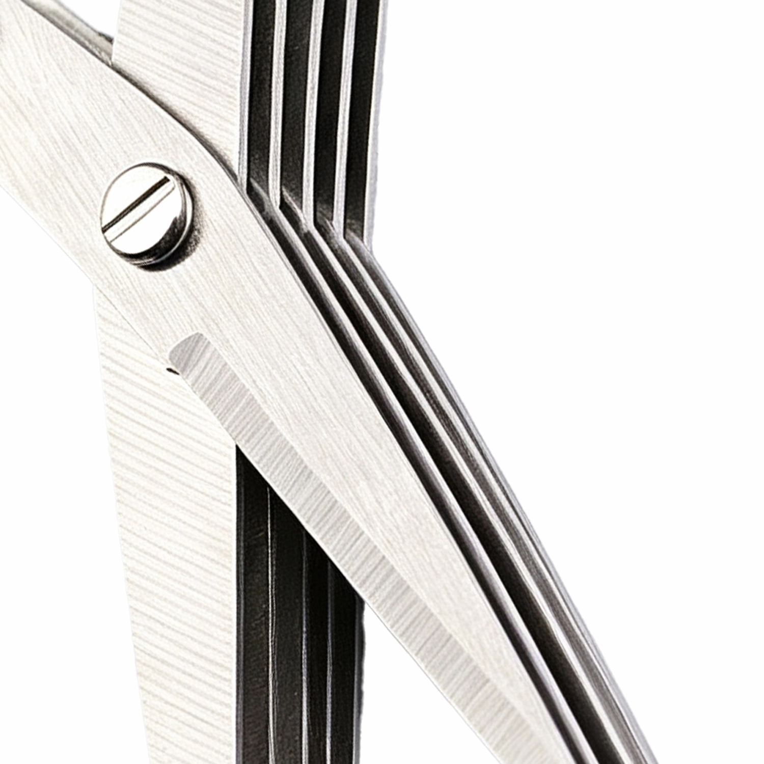 Close up view of multi blade brushed stainless steel herb kitchen scissors isolated on white background KL-SC-KT-003