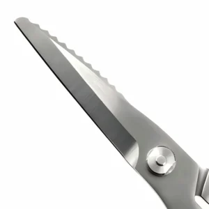 Close-up of all-steel heavy duty kitchen shears with sharp serrated blade detail on white background, SKU KL-SC-PR-004
