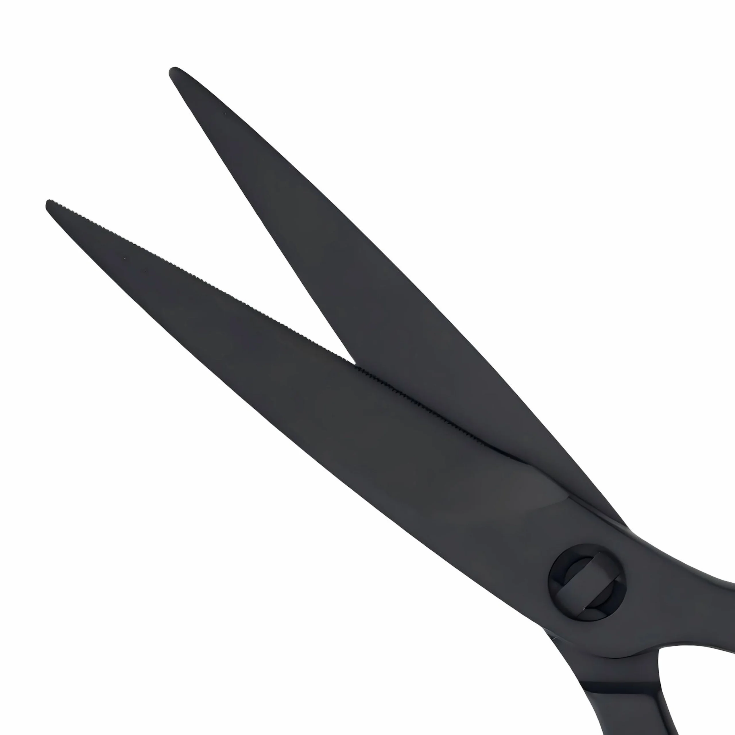 Detailed view of black stainless steel kitchen scissors blade isolated on white background KL-SC-TI-001