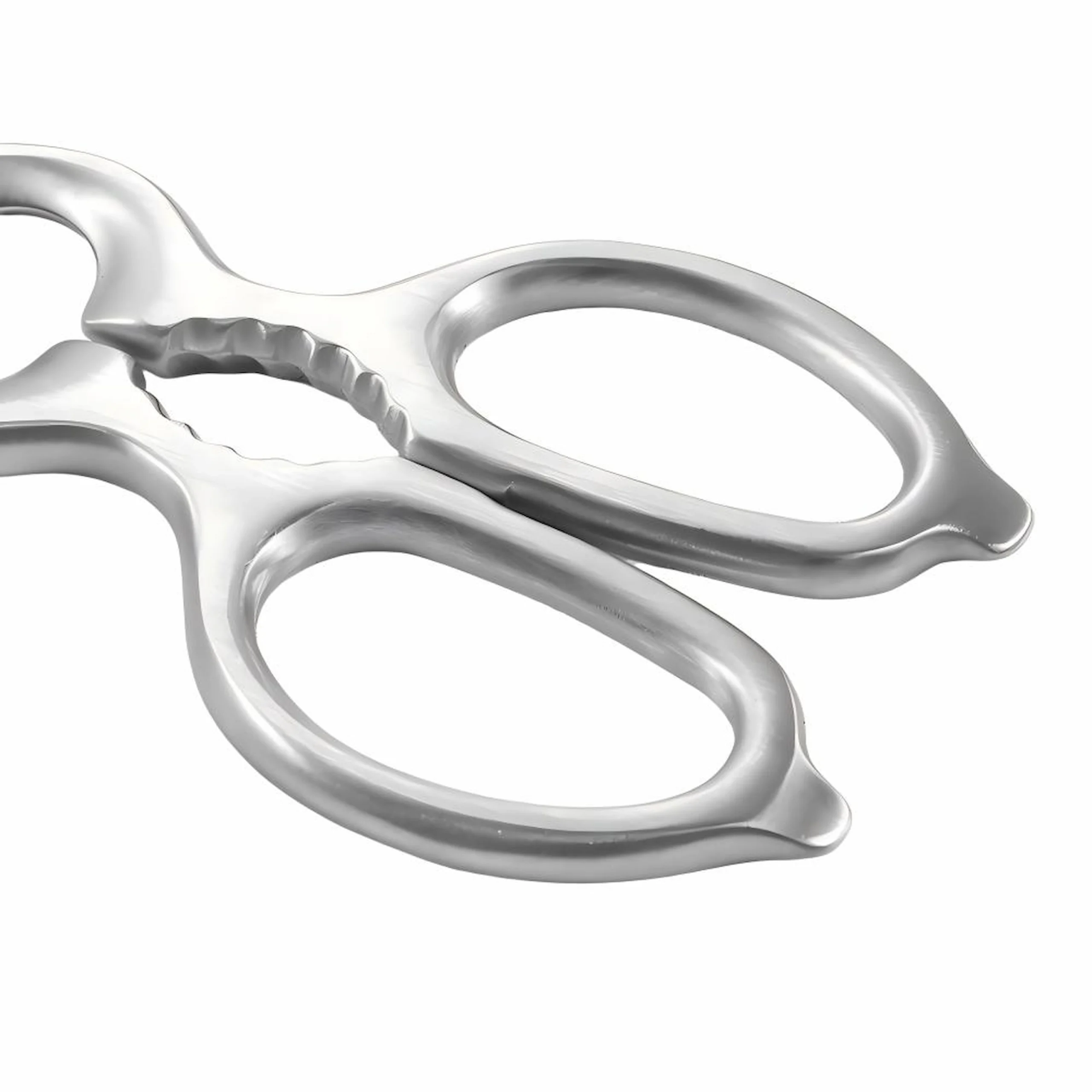 Brushed stainless steel kitchen scissors handle detail with nut-cracker notch isolated on white background KL-SC-PR-008