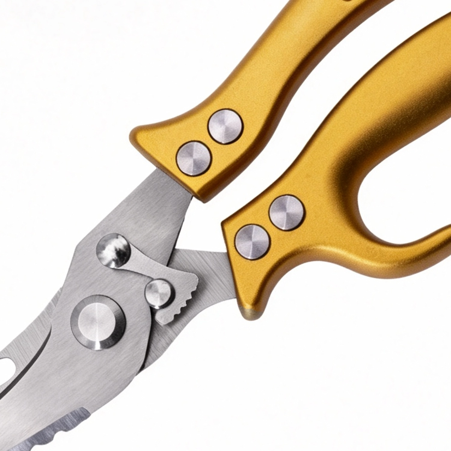 Close-up of anodized gold aluminum handle and locking latch of fishing scissors isolated on white background KL-SC-SS-011