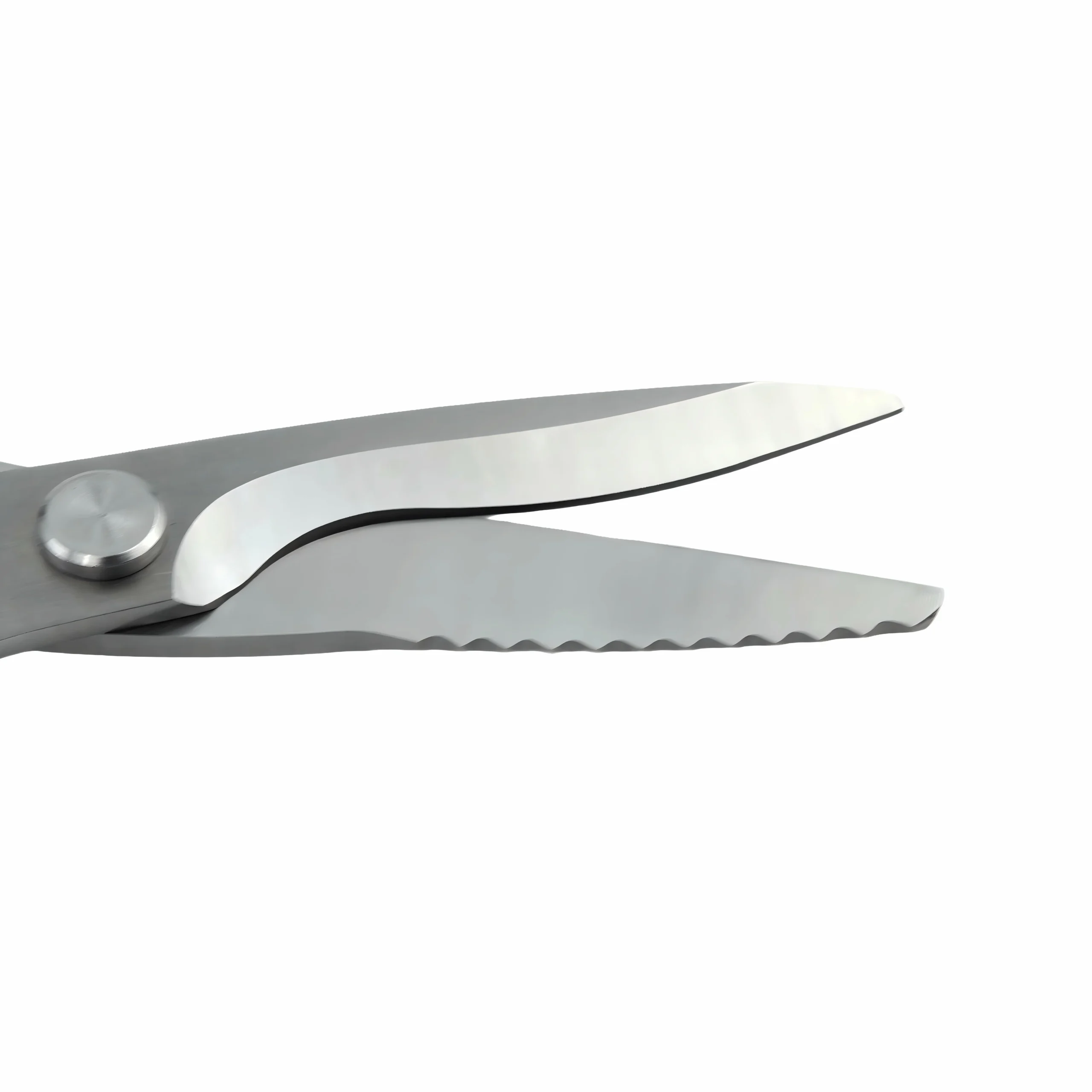 Heavy Duty Kitchen Shears - Opened Blade Close-up | KaiLionCrafts Close-up of brushed stainless steel heavy duty kitchen shears with opened serrated blade on white background, SKU KL-SC-PR-004