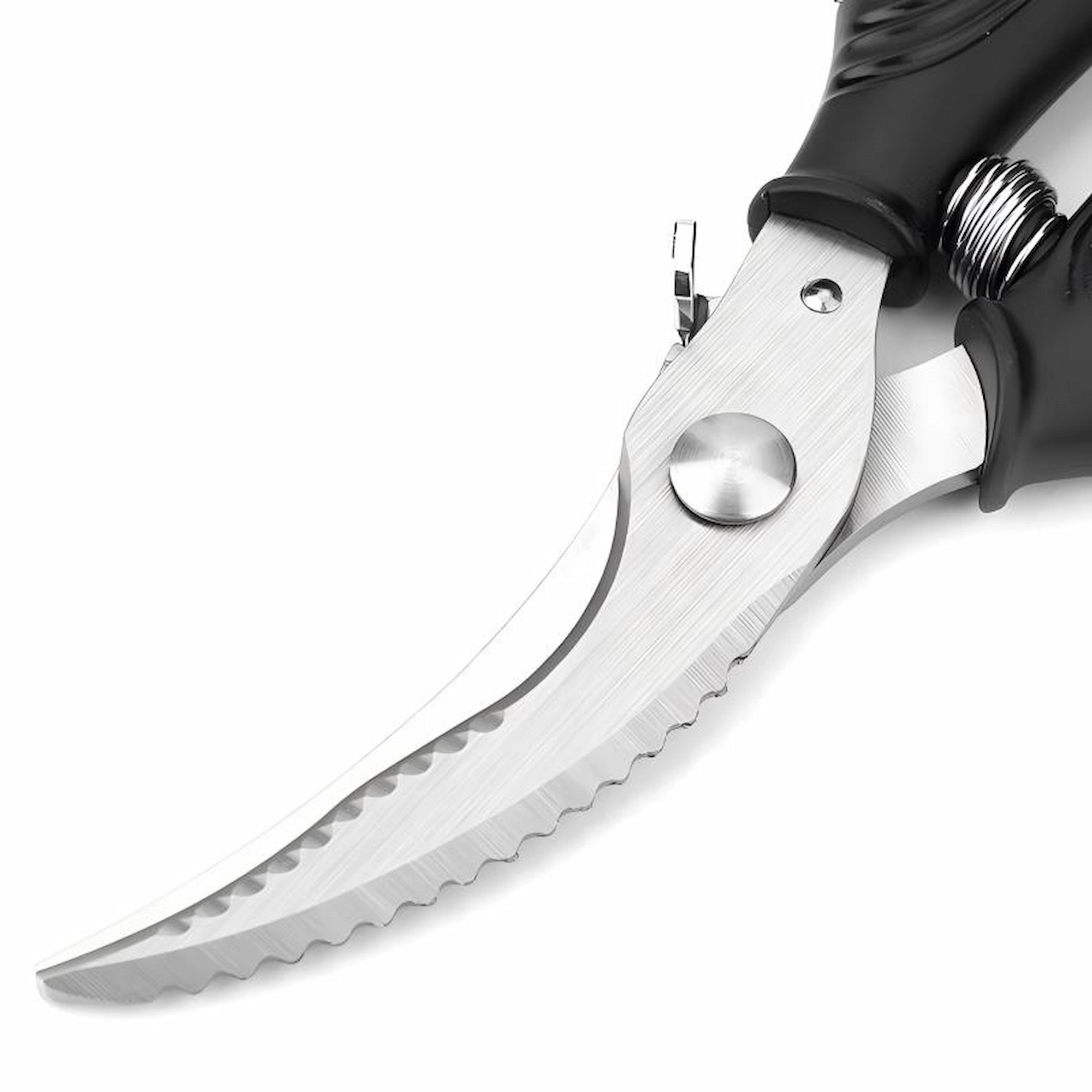 Detailed close-up of serrated blade edge and pivot screw on stainless steel poultry shears isolated on white background, SKU KL-SC-SS-004.
