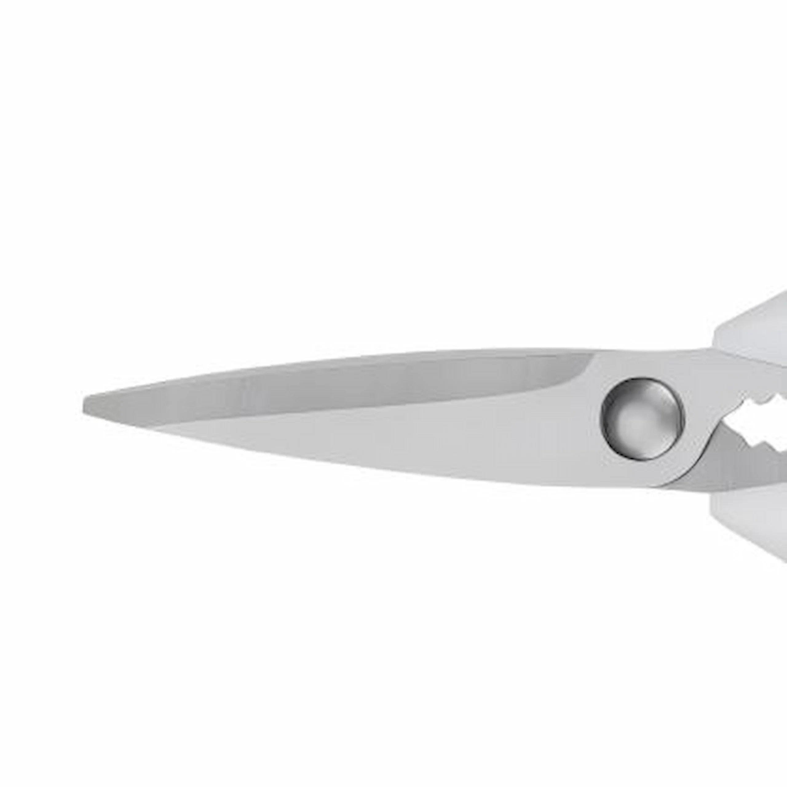 Detailed close-up of brushed satin stainless steel blades on kitchen scissors isolated on white background KL-SC-SS-005