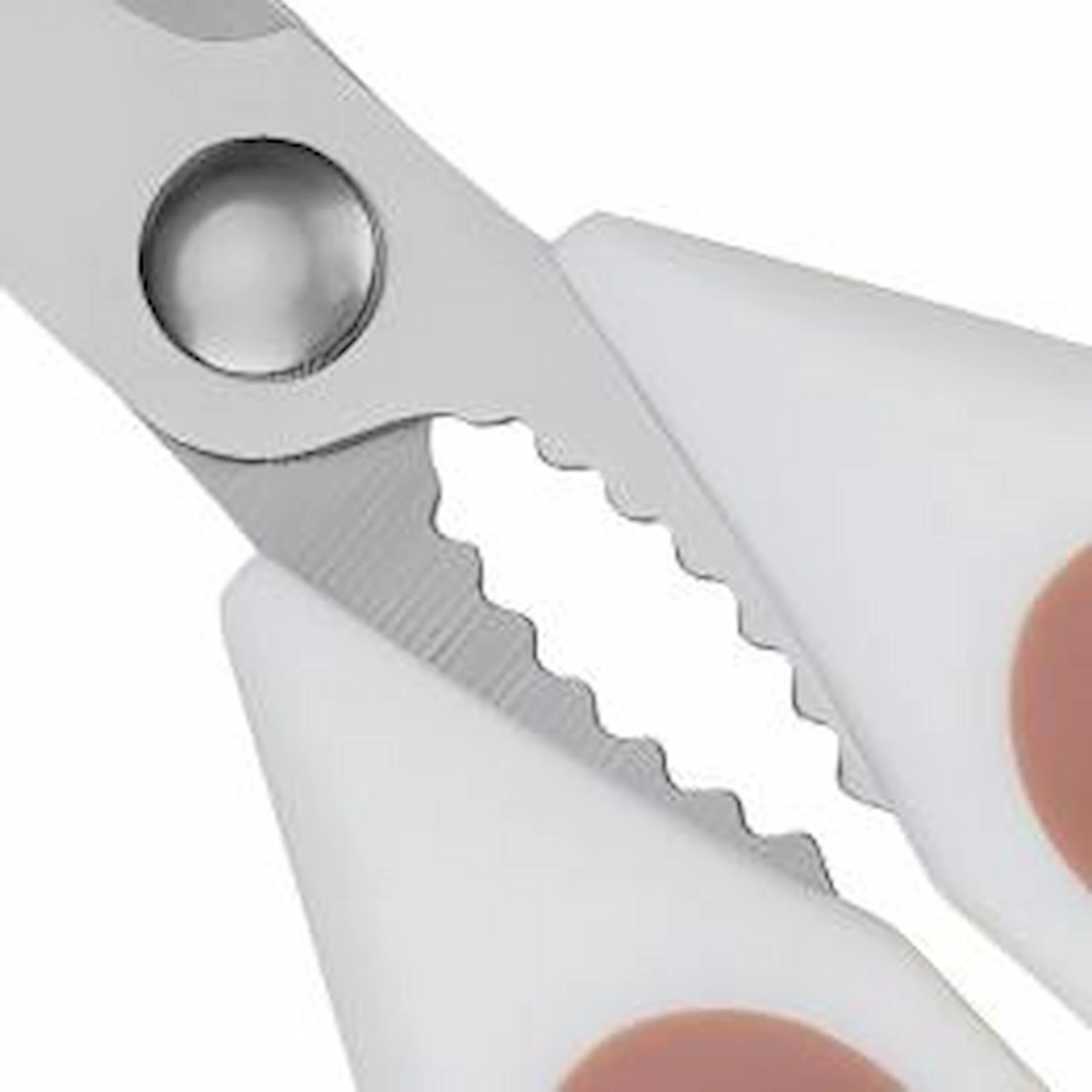 Close-up of serrated steel center grips on kitchen scissors isolated on white background KL-SC-SS-005.