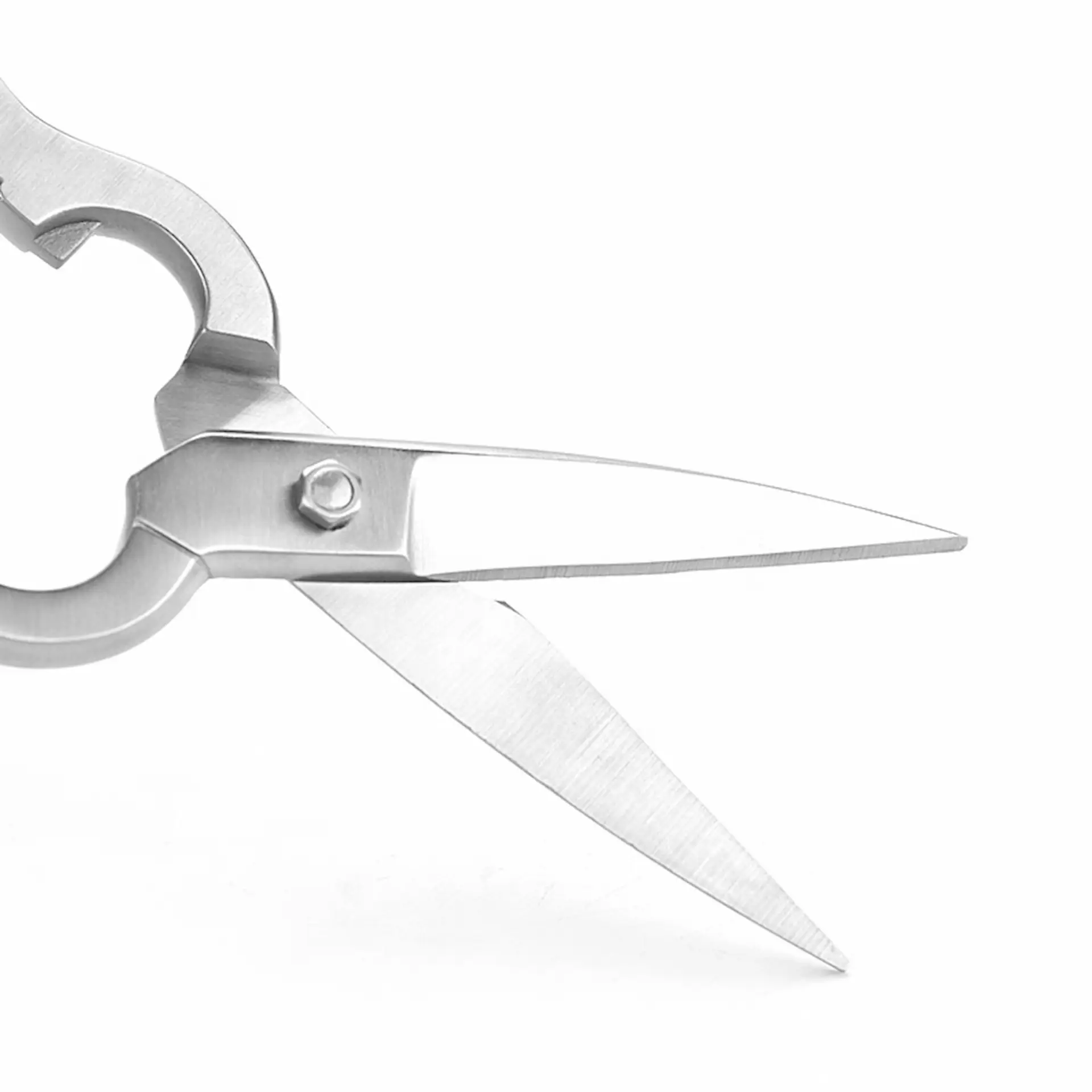 Macro view of sharp all-stainless steel kitchen shears blades opened, isolated on white background. KL-SC-PR-011