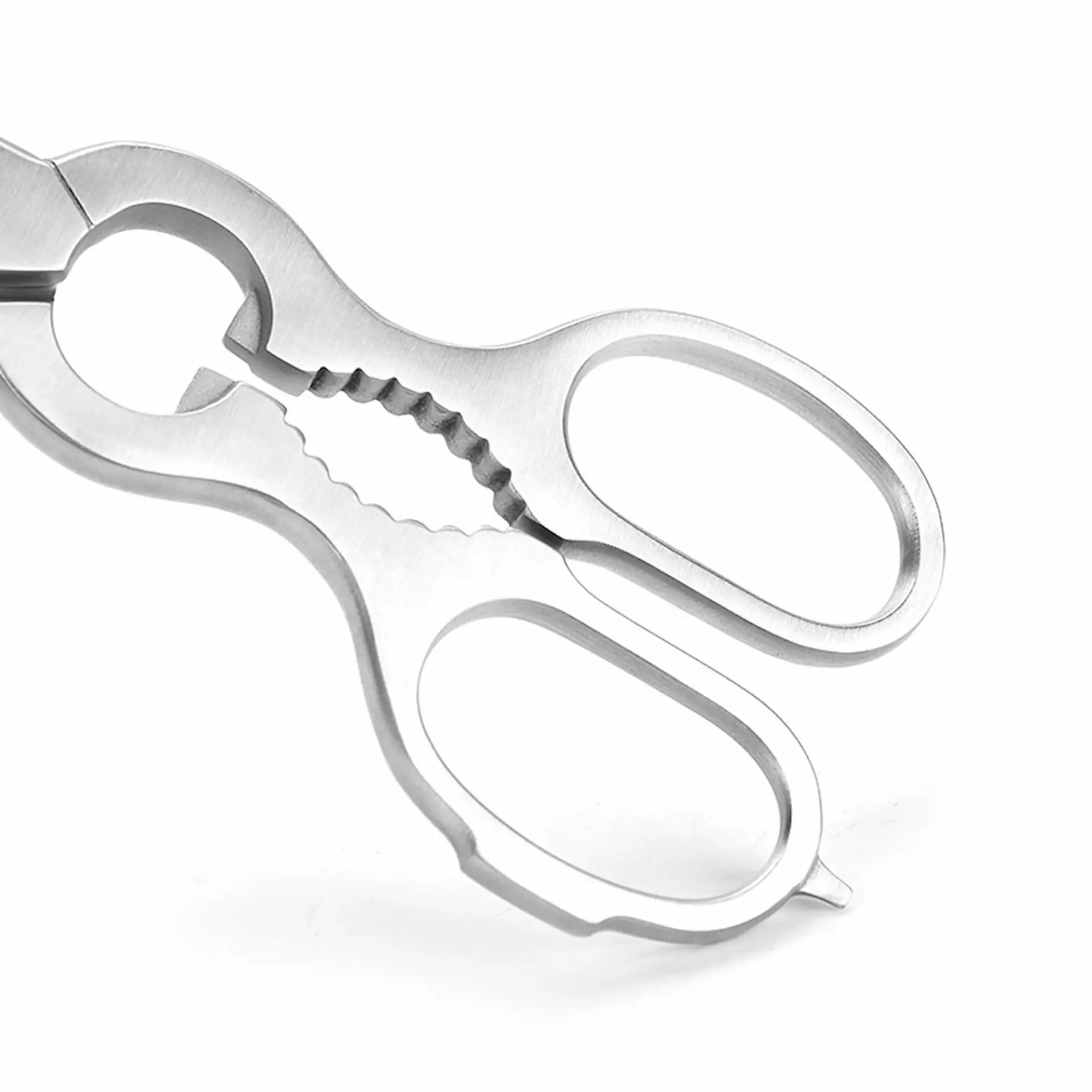 Close-up of ergonomic stainless steel handles with integrated bone notch on kitchen shears, isolated on white background. KL-SC-PR-011