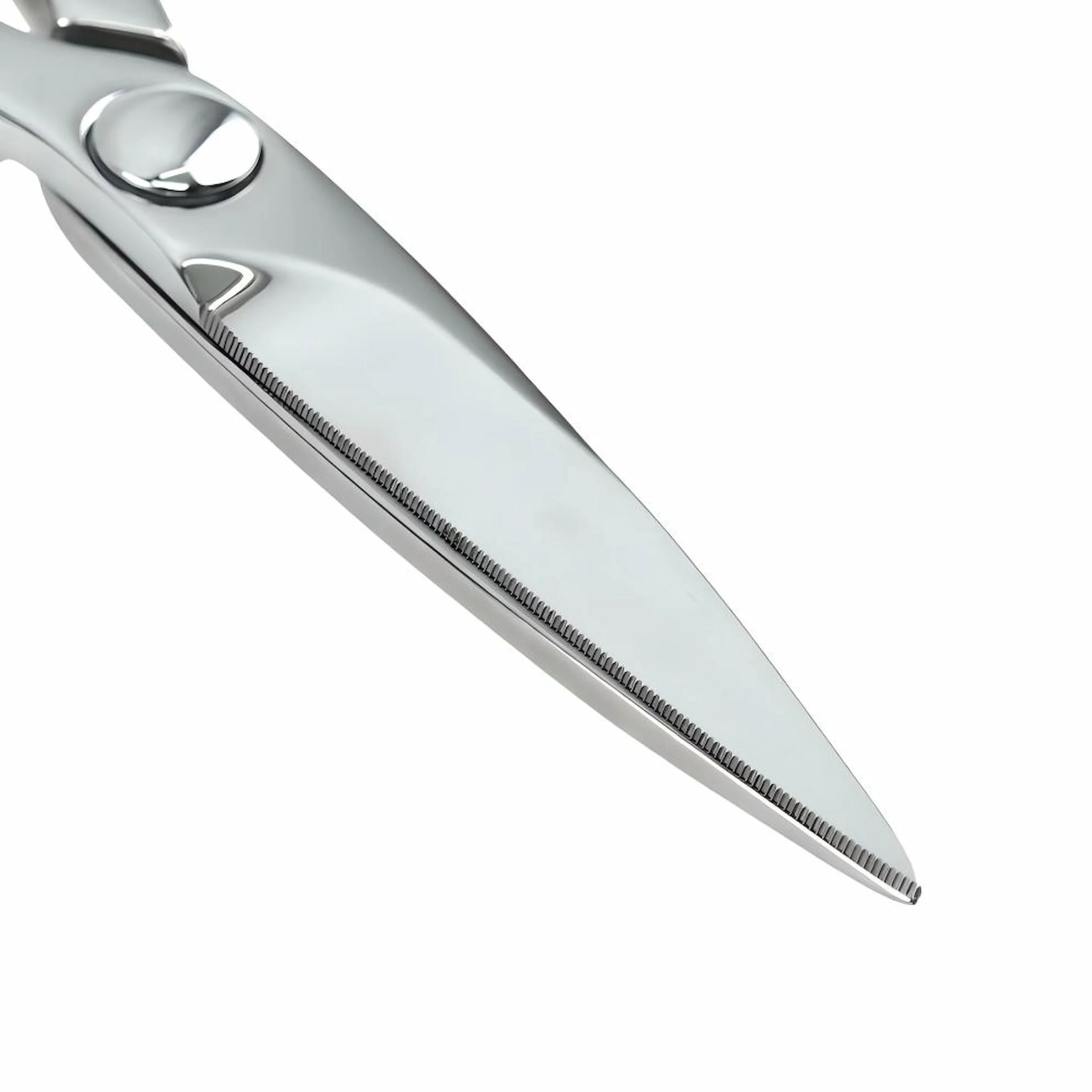 Serrated stainless steel kitchen scissors blade detail isolated on white background KL-SC-PR-006