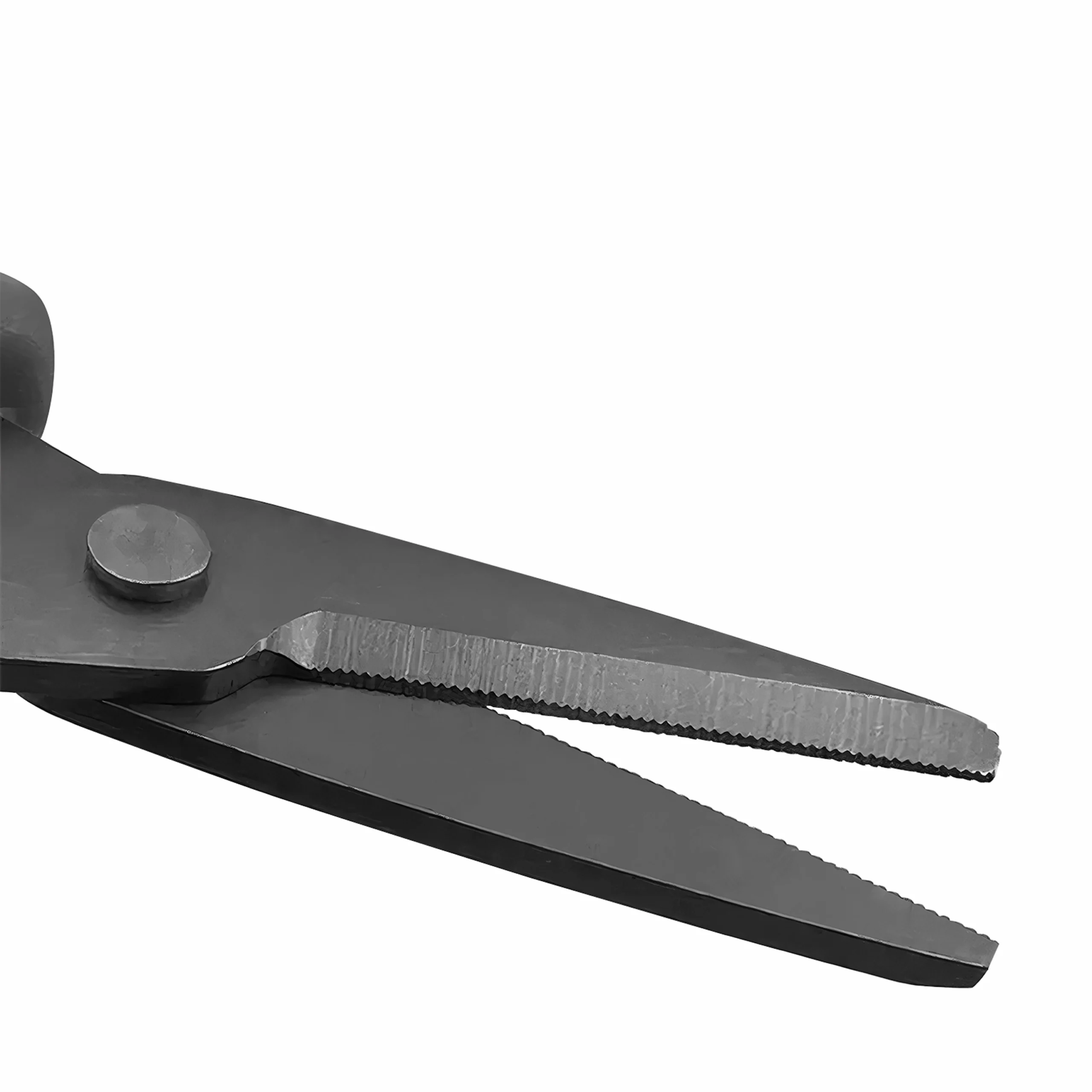 Close-up of matte black coated stainless steel blades on precision craft scissors isolated on white background KL-SC-TI-003