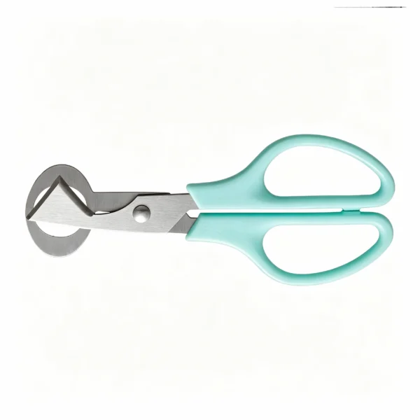 Stainless steel quail egg topper scissors with mint green handles isolated on white background KL-SC-KT-004