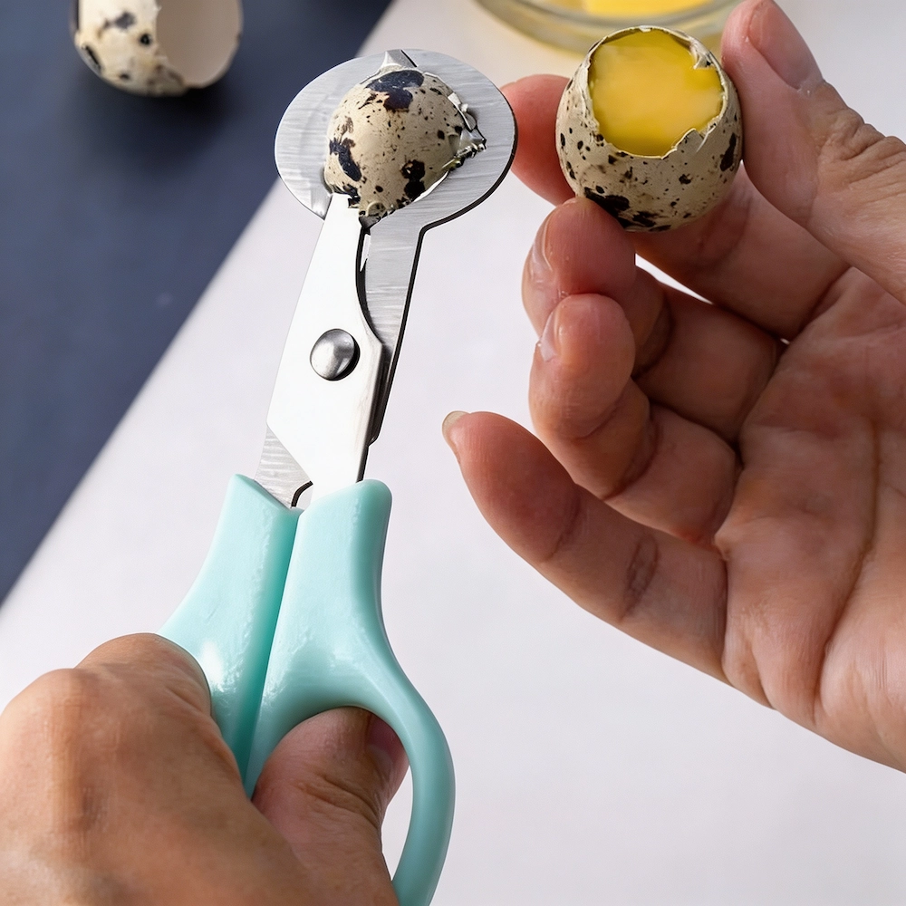 Stainless steel quail egg topper scissors cutting a quail egg shell on workbench setting KL-SC-KT-004