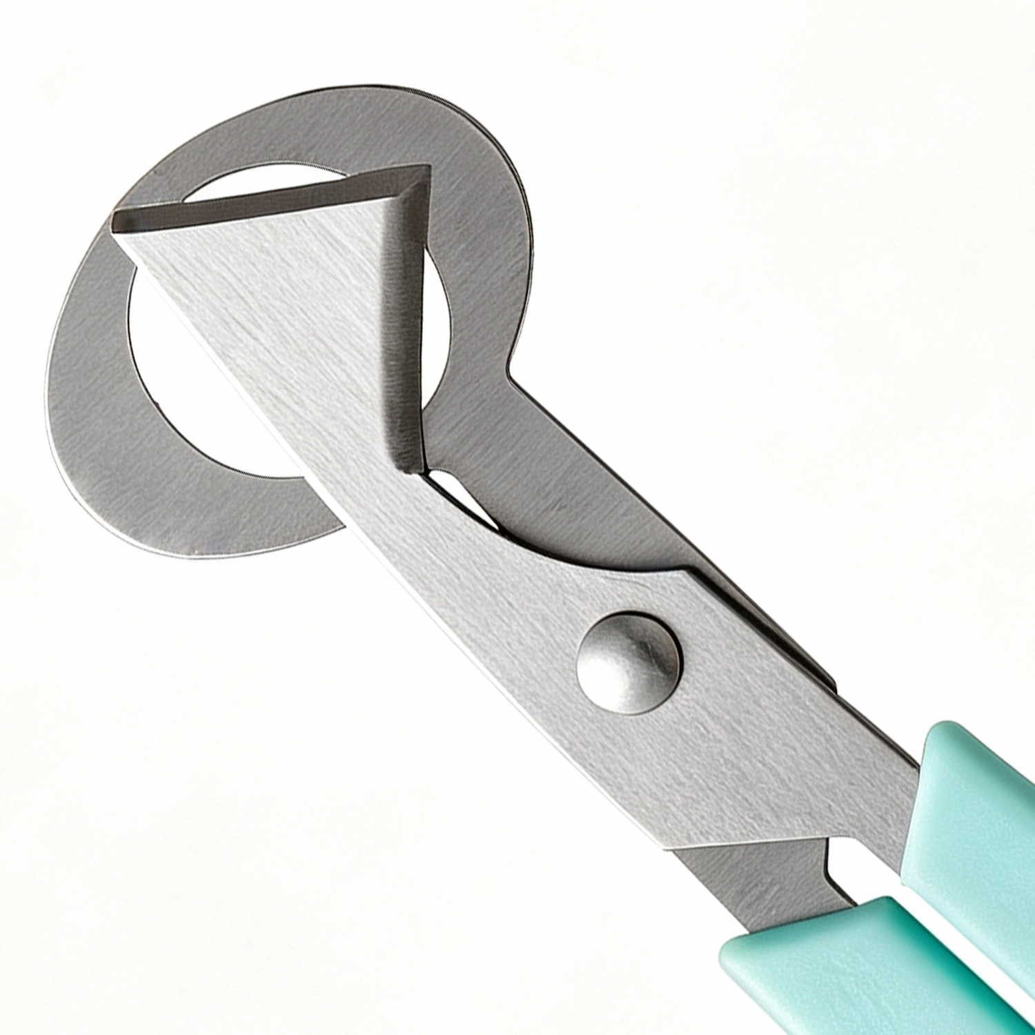 Stainless steel quail egg scissors with teal handles in 45 degree angle isolated on white background KL-SC-KT-004