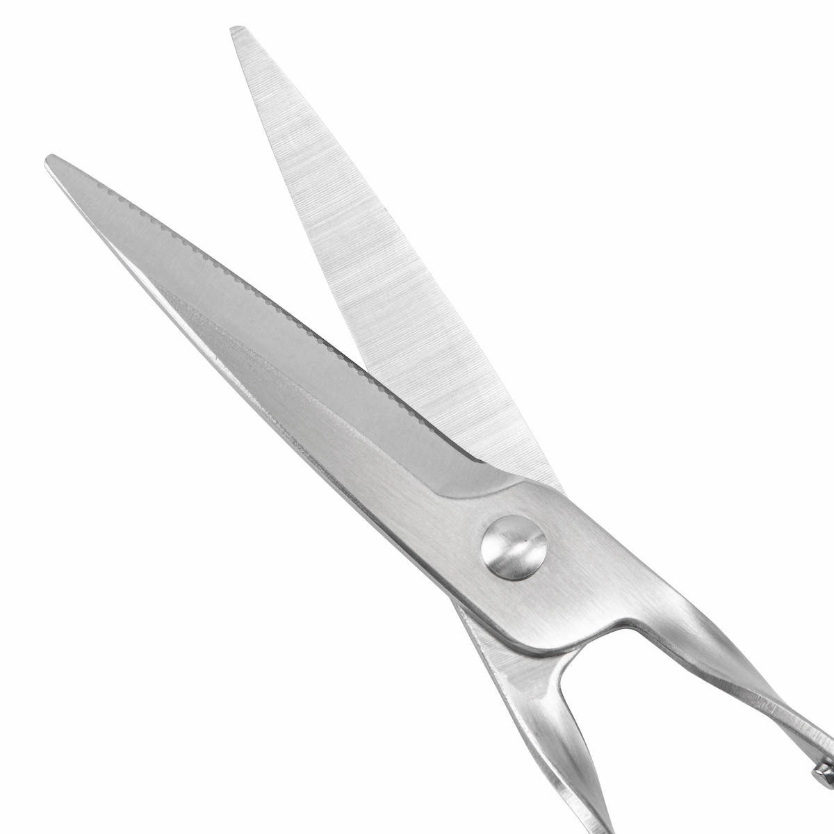 Close-up of opened stainless steel garden scissors blades with micro-serrations, isolated on white background. KL-SC-PR-002
