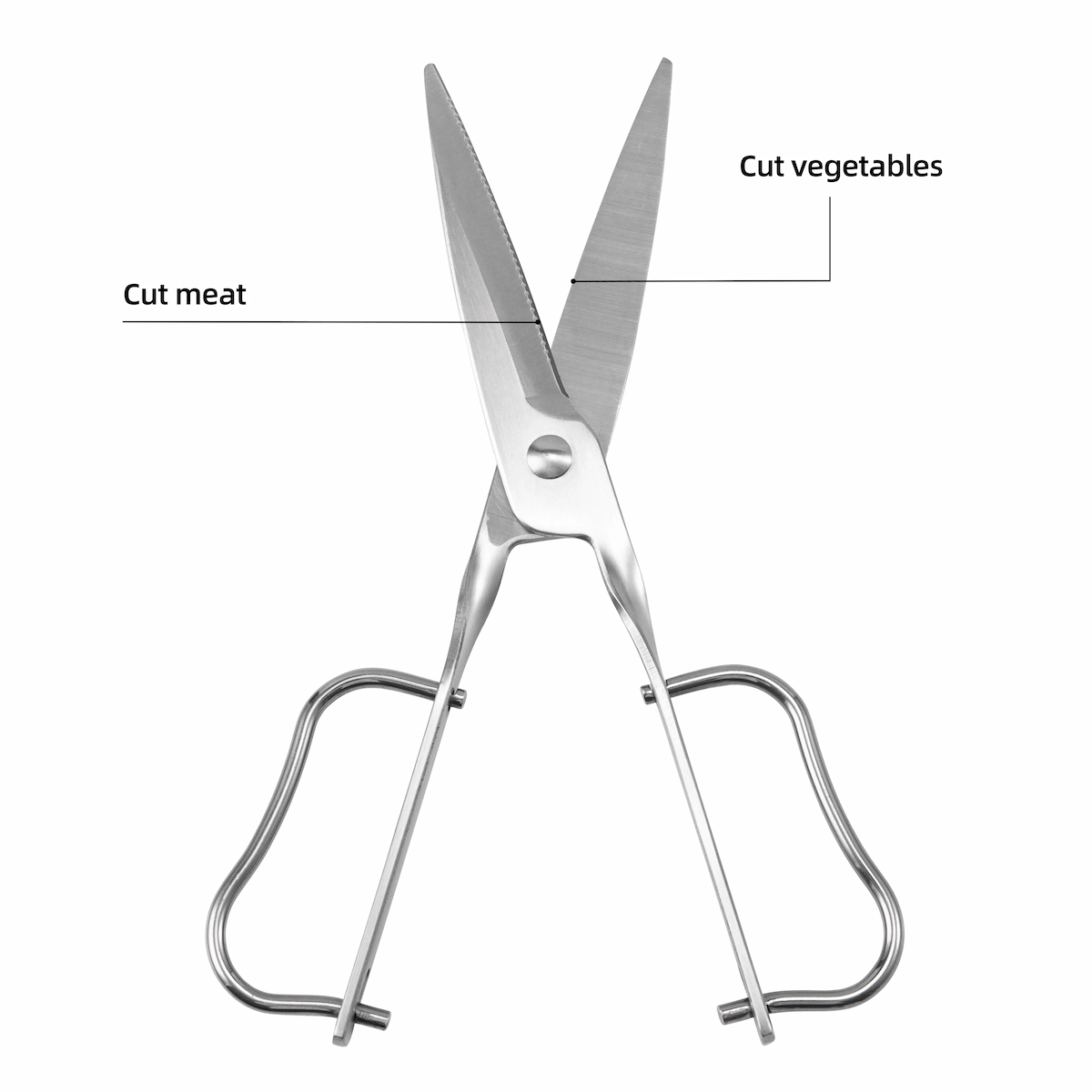 Infographic of opened stainless steel garden scissors showing cutting functions, isolated on white background. KL-SC-PR-002