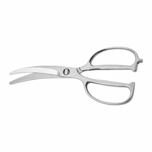 All-stainless steel curved blade poultry shears with open-loop handles isolated on white background KL-SC-SS-008.