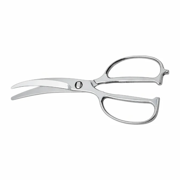 All-stainless steel curved blade poultry shears with open-loop handles isolated on white background KL-SC-SS-008.