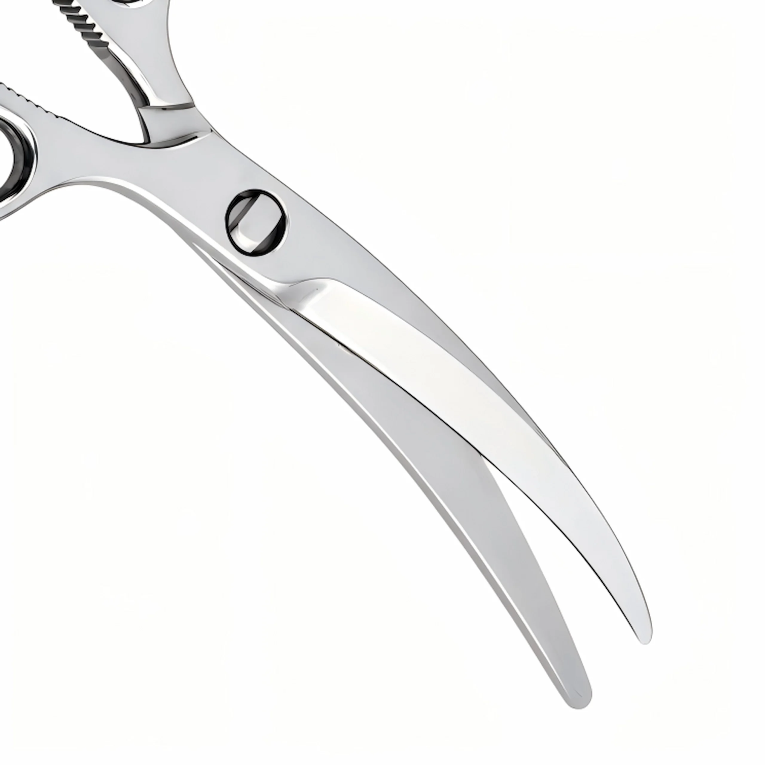 Detailed close-up of mirror-polished curved blades and center pivot screw on poultry shears isolated on white background KL-SC-SS-008.