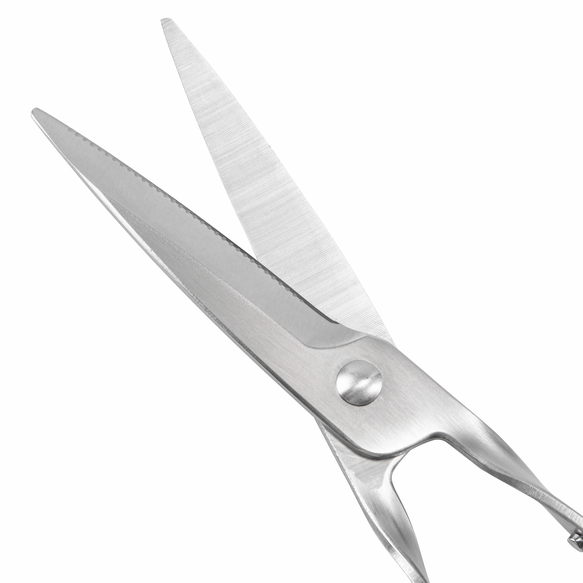 Close-up of stainless steel garden scissors micro-serrated blade detail isolated on white background, SKU KL-SC-PR-002