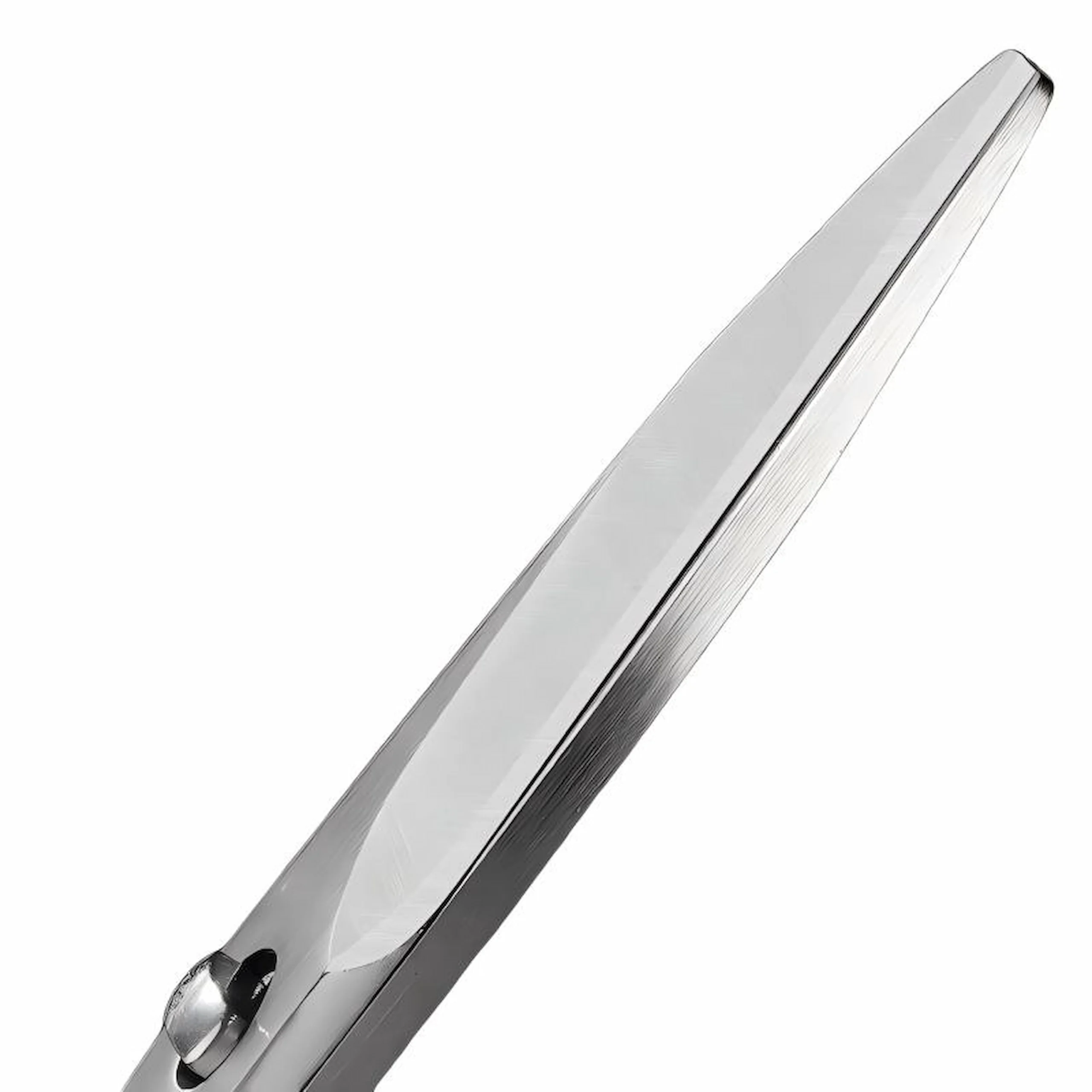 Close-up of the thick polished blade back of stainless steel kitchen scissors isolated on white background KL-SC-PR-010