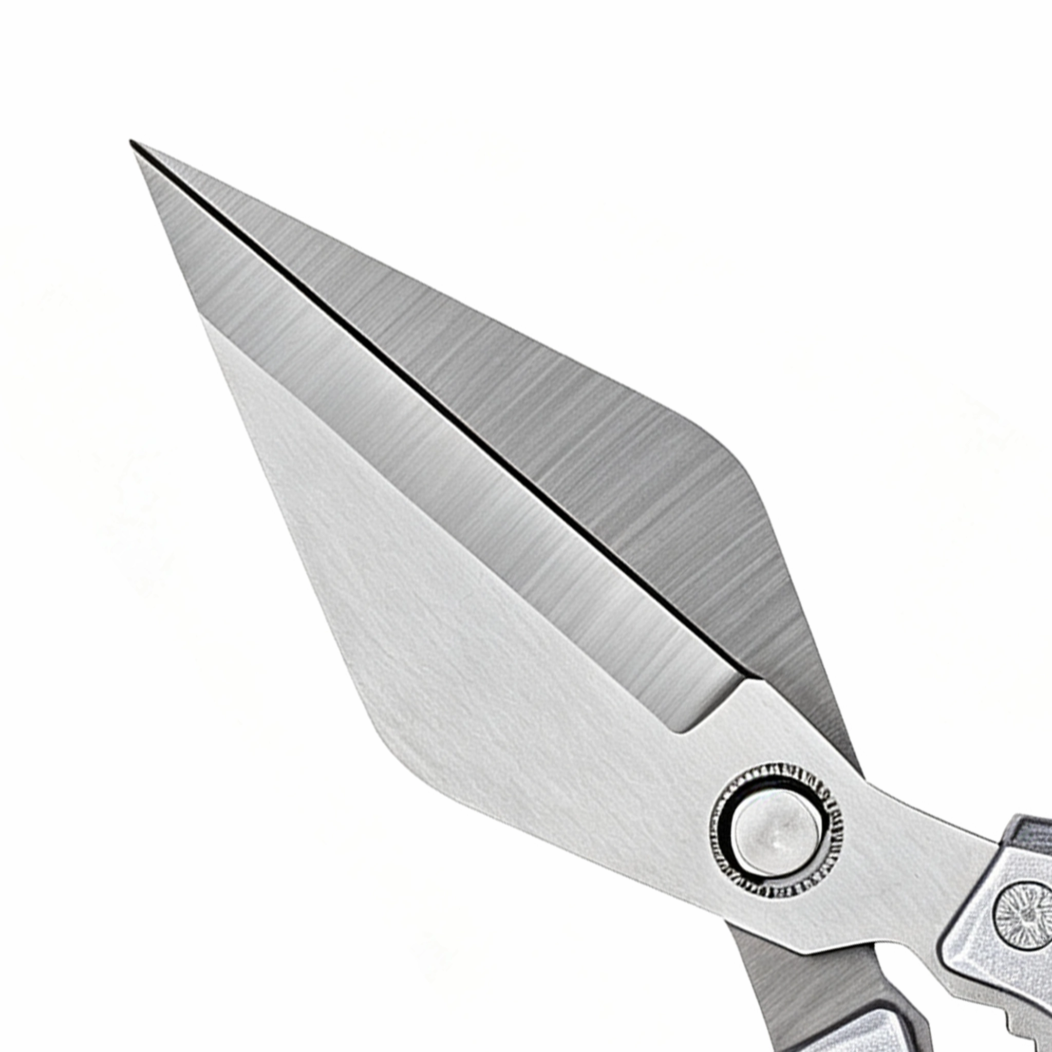 Close-up of brushed stainless steel kitchen scissor blades isolated on white background KL-SC-KT-006