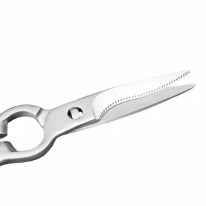 Serrated stainless steel blade detail of kitchen shears isolated on white background KL-SC-PR-005
