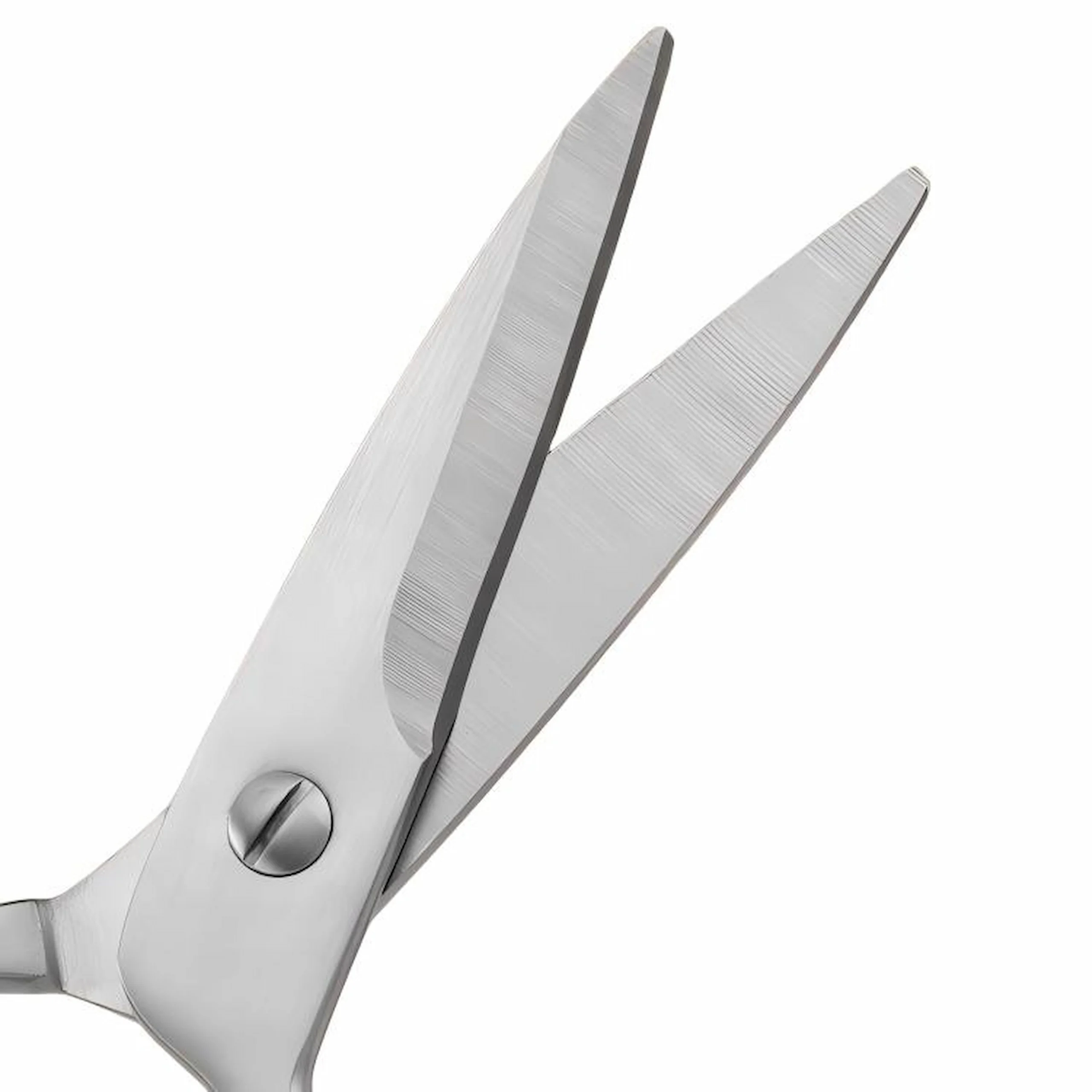 Detailed close-up of sharp stainless steel kitchen scissors blade on white background KL-SC-PR-010