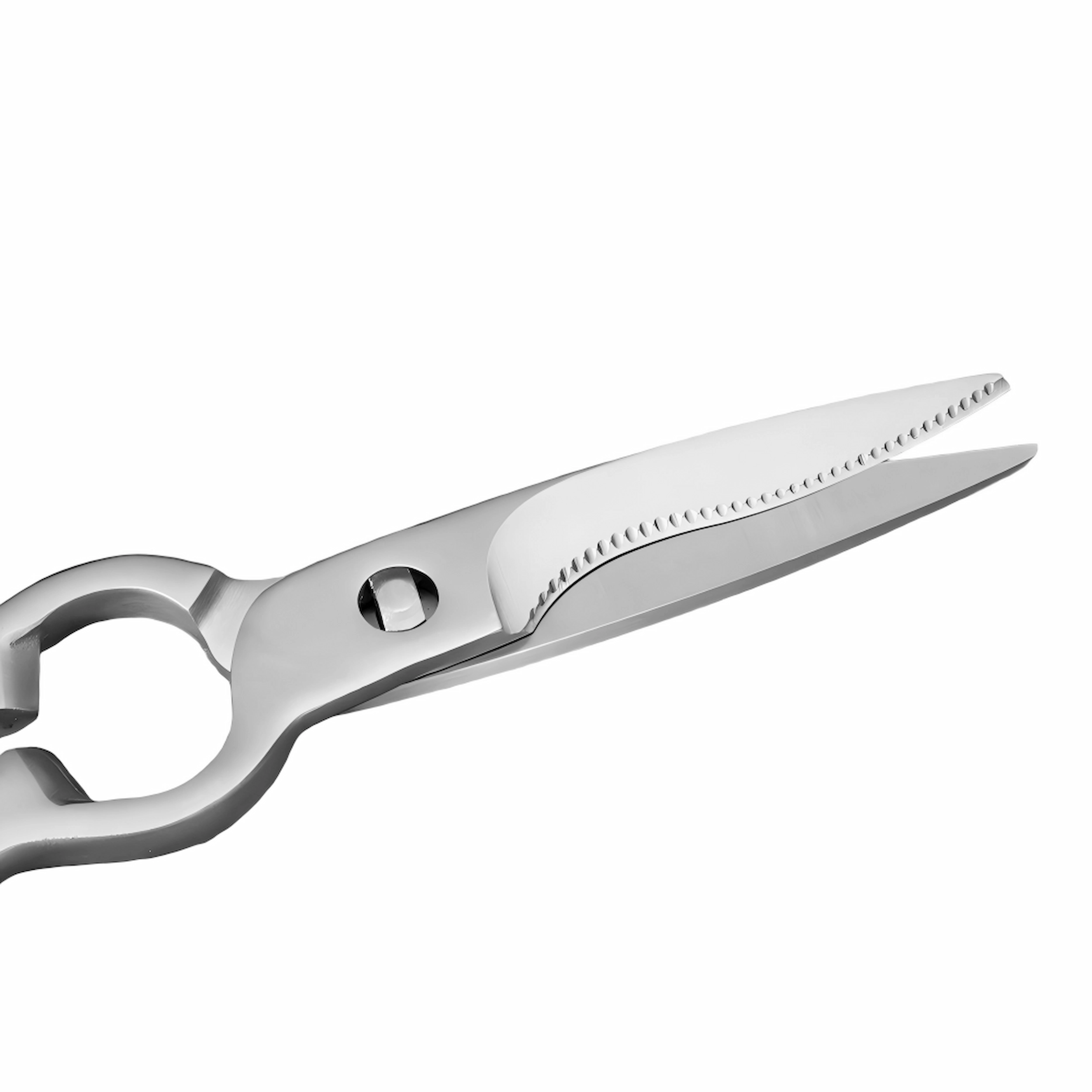 Close-up of serrated blades on stainless steel kitchen shears isolated on white background, KL-SC-PR-012.