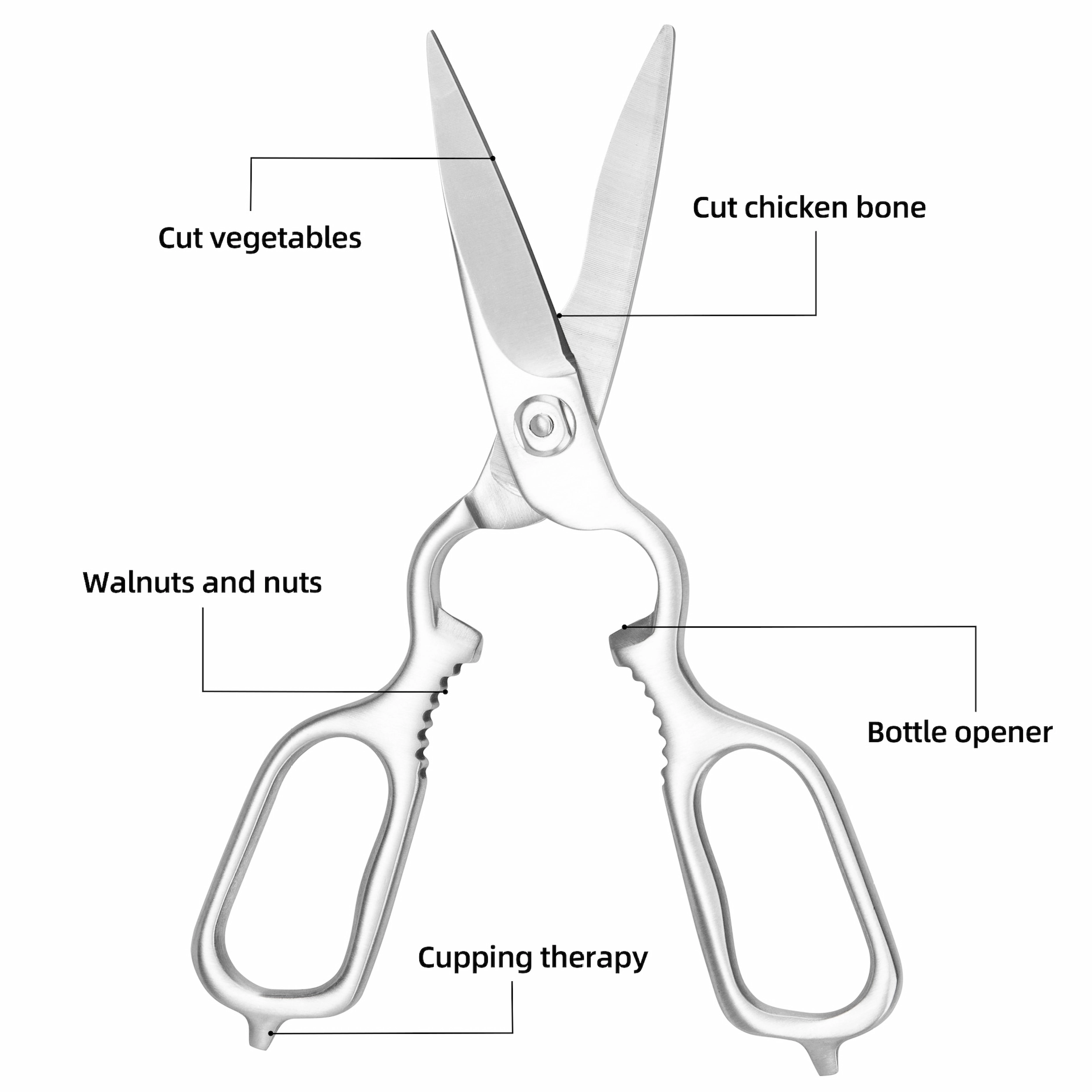 All-metal stainless steel kitchen shears with functional diagram text isolated on white background KL-SC-PR-005