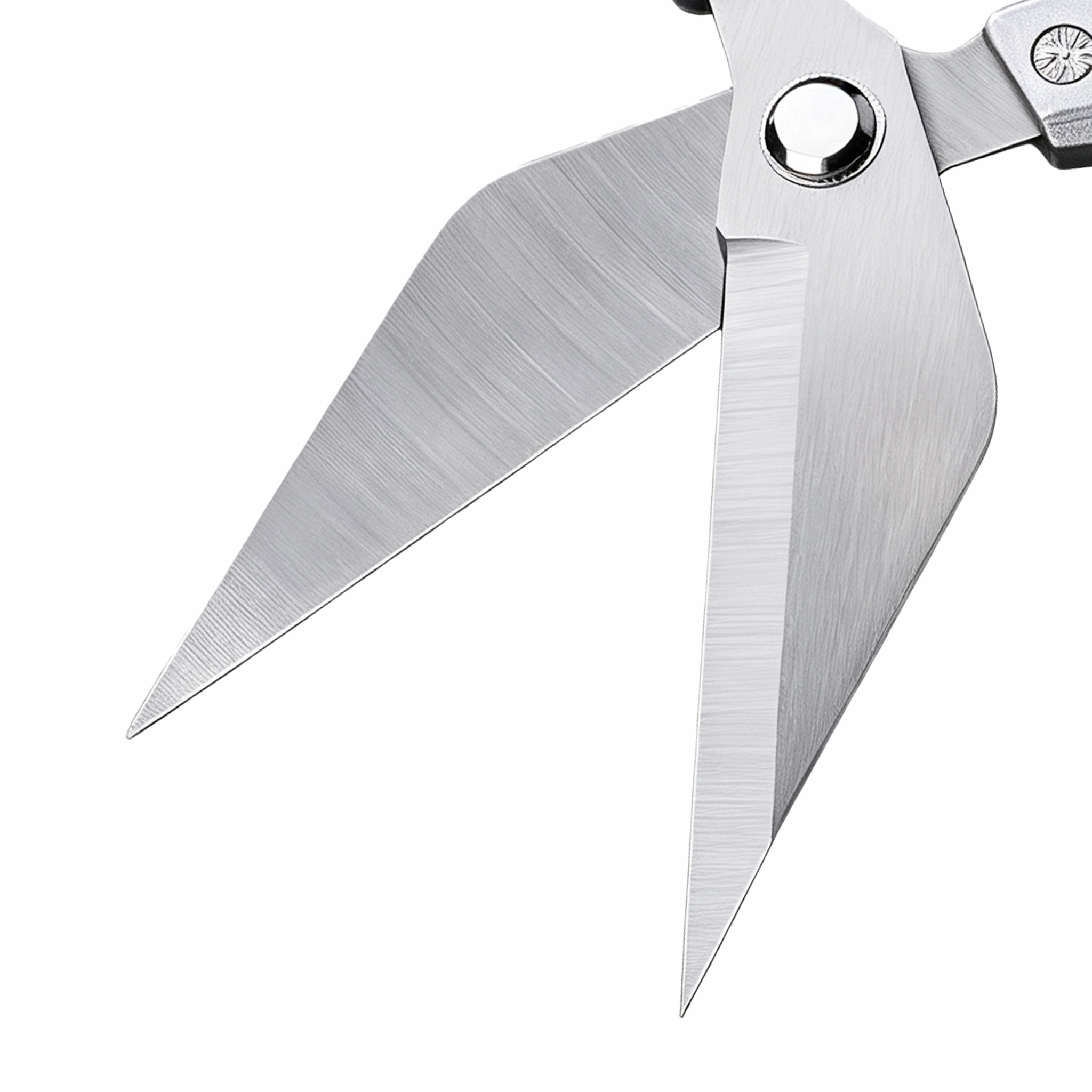 Opened view of brushed stainless steel kitchen shears blades isolated on white background KL-SC-KT-006