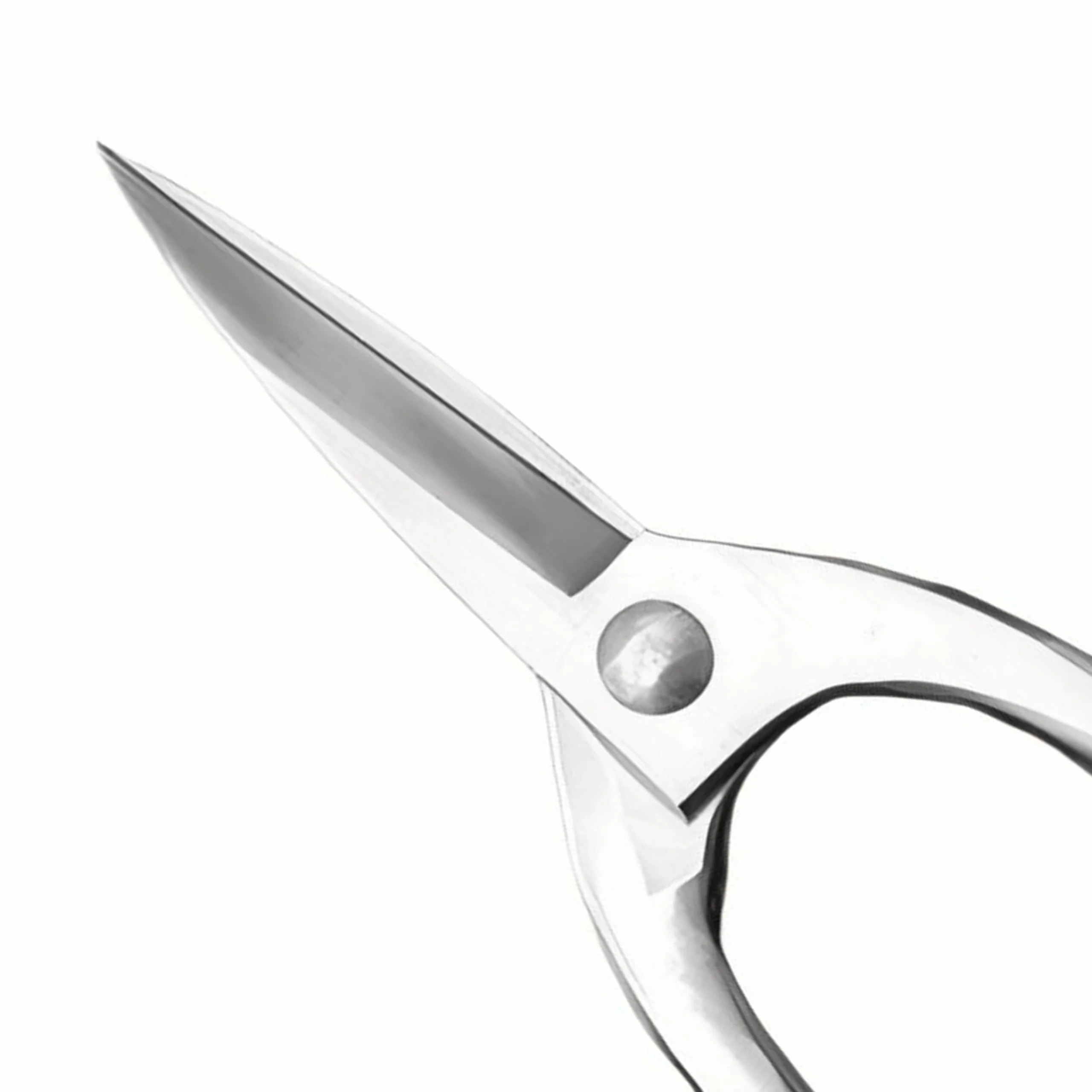 Close-up of stainless steel nail scissors blades isolated on white background KL-SC-SS-010