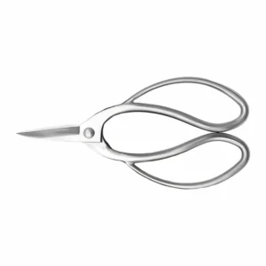Stainless steel nail scissors with precision curved blades isolated on white background KL-SC-SS-010