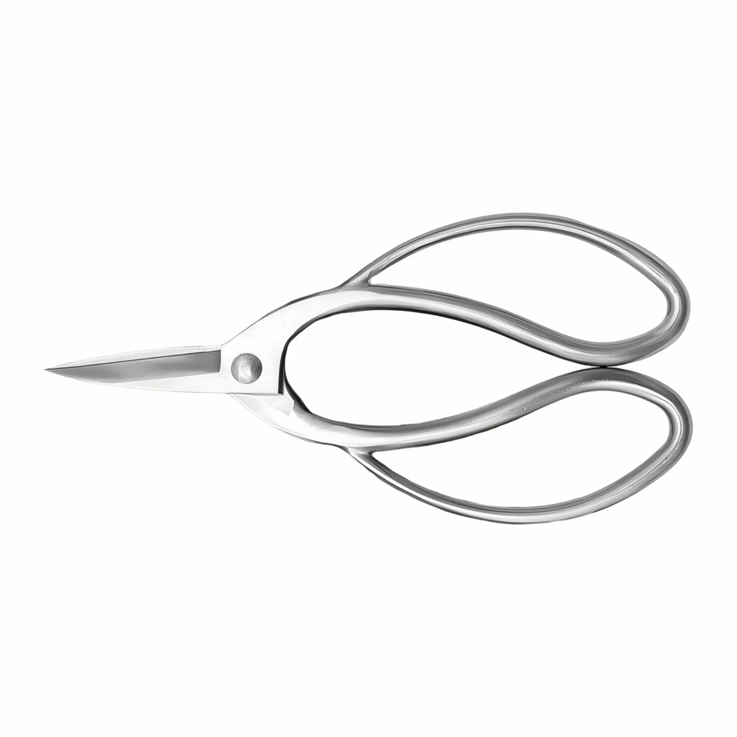 Stainless steel nail scissors with precision curved blades isolated on white background KL-SC-SS-010