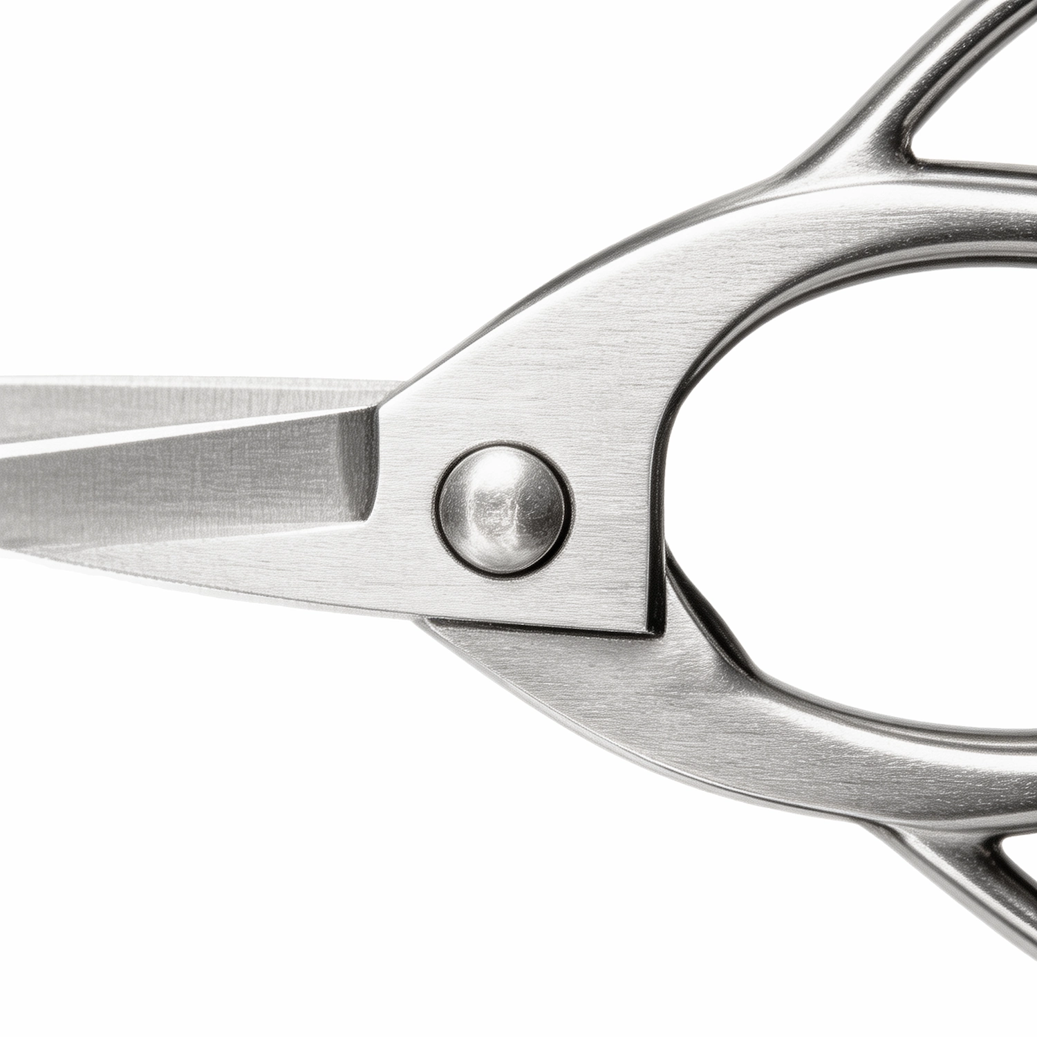 Detailed view of stainless steel nail scissors handle isolated on white background KL-SC-SS-010