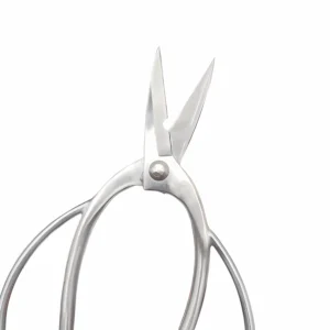 Stainless steel nail scissors in opened view with curved blades isolated on white background KL-SC-SS-010