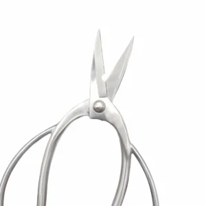 Stainless steel nail scissors in opened view with curved blades isolated on white background KL-SC-SS-010