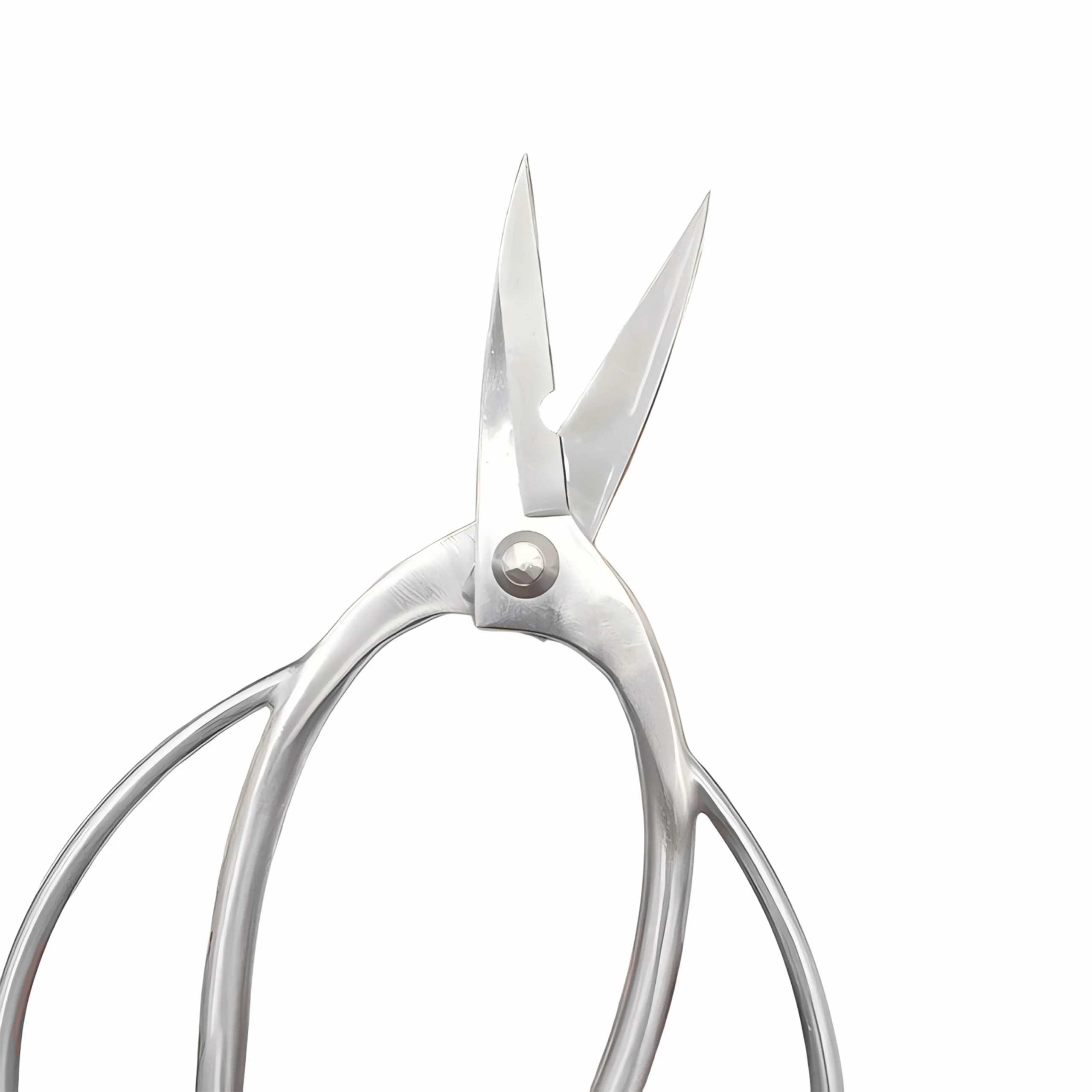 Stainless steel nail scissors in opened view with curved blades isolated on white background KL-SC-SS-010