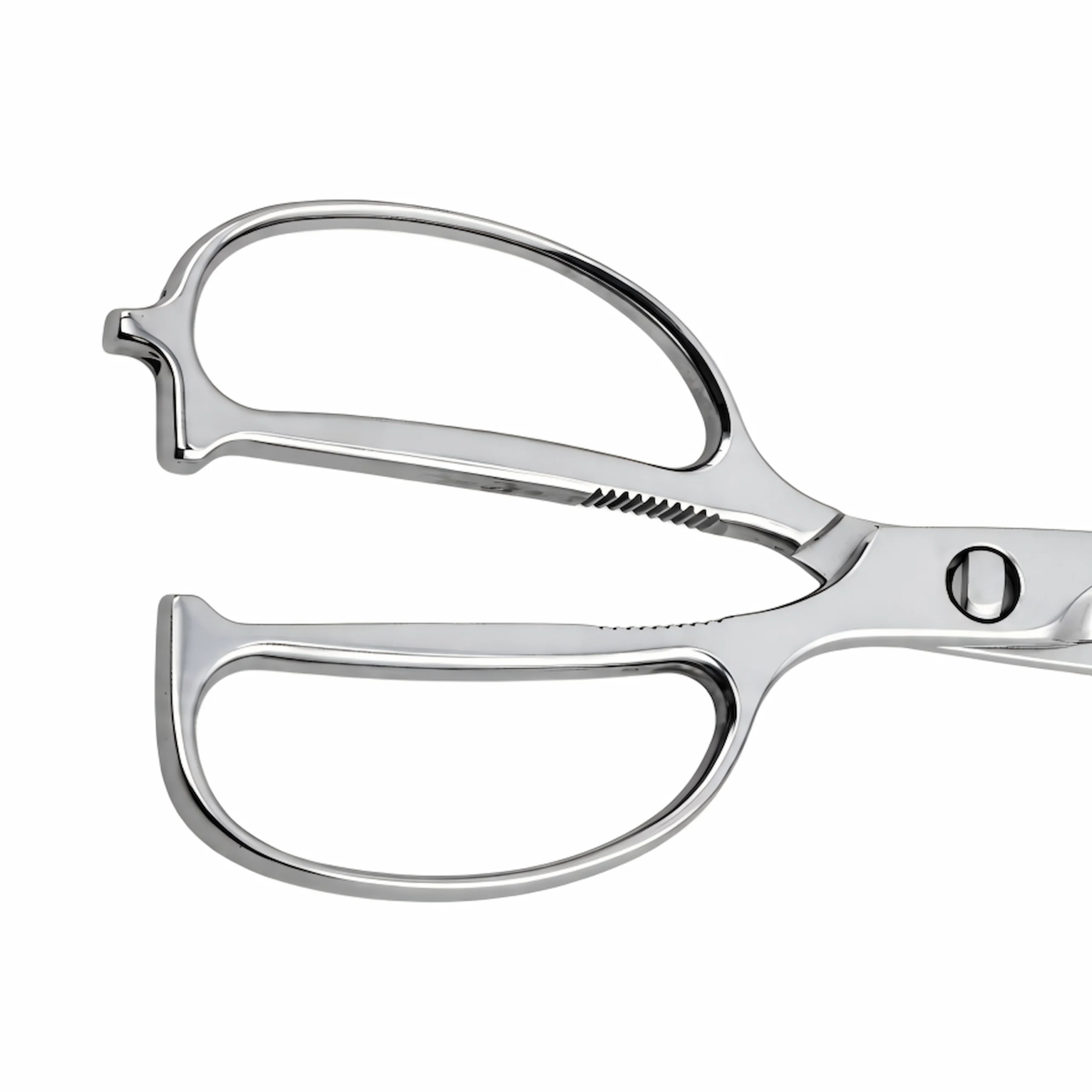 ll-metal open-loop handles with serrated bone cracker on poultry shears isolated on white background KL-SC-SS-008