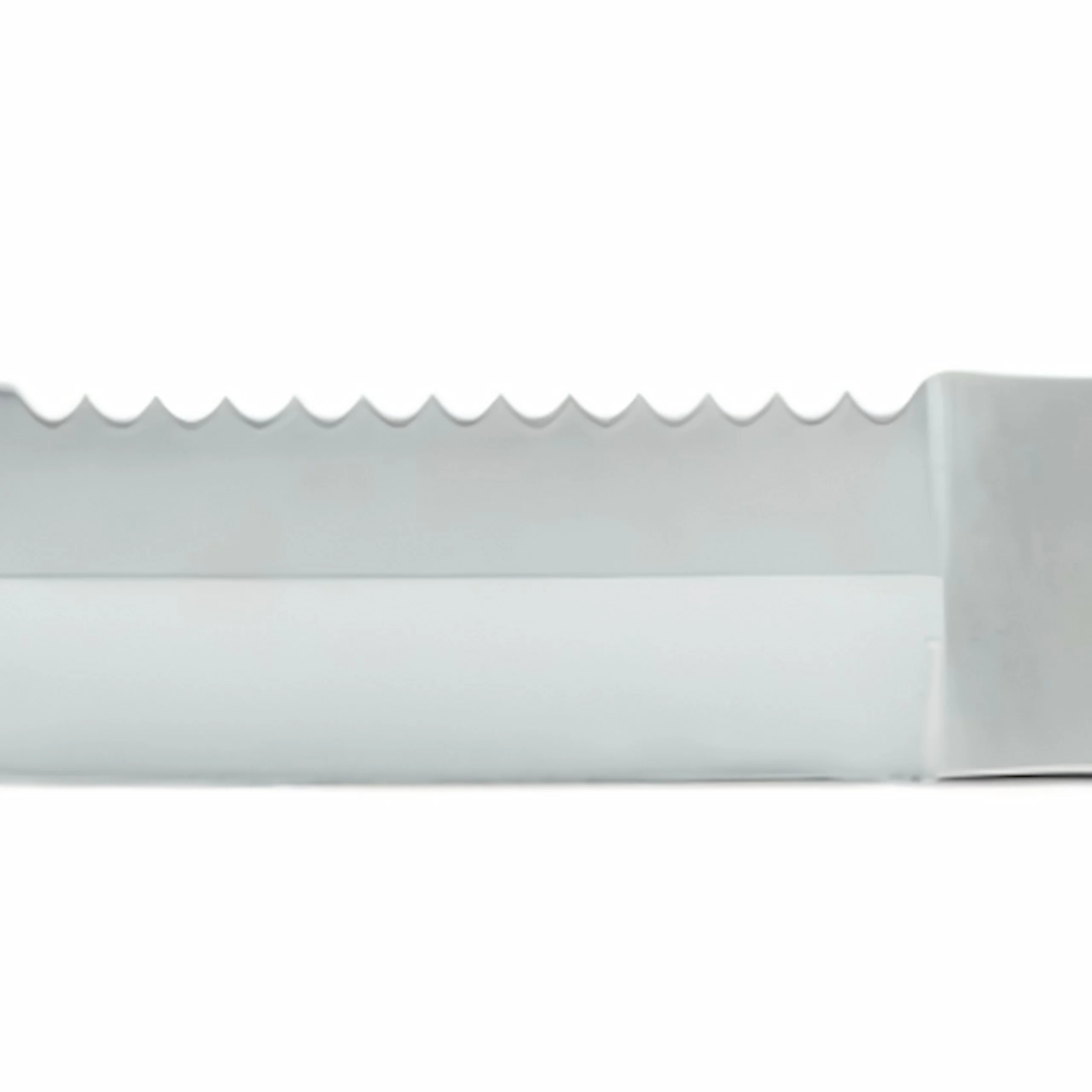 Extreme close-up of the aggressive spine serrations on a tactical fixed blade knife blade, isolated on white background. KL-OD-SS-021